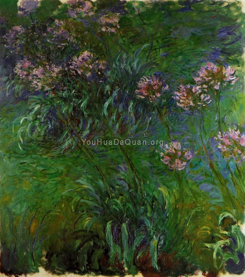 Agapanthus - 克劳德·莫奈